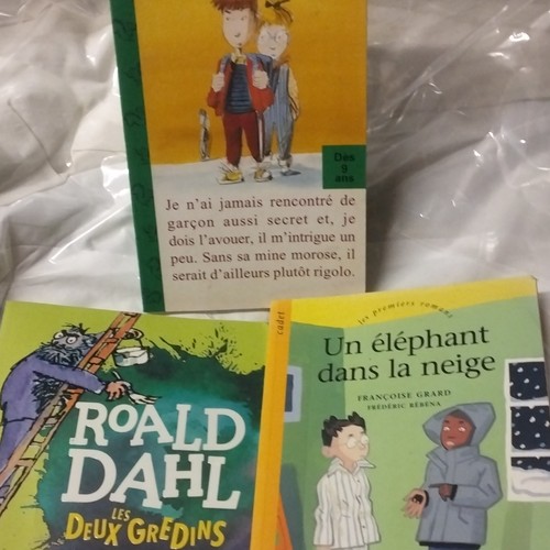 Roald dahl lot - 2, romans