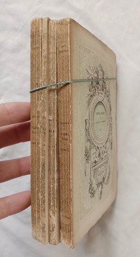 Flore belge par masson - belge,