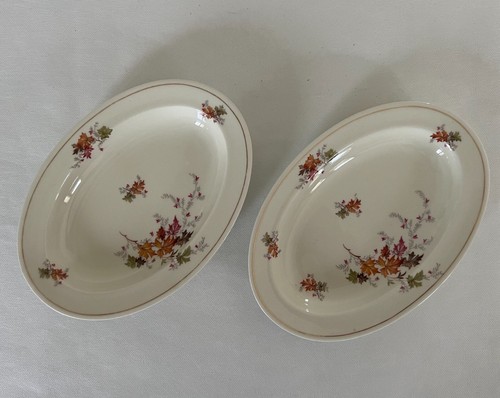 Vaisselle raynaud limoges - -,