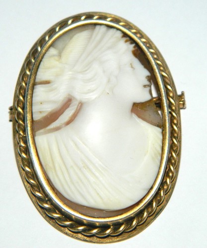 Jolie broche camée coquille - broche,