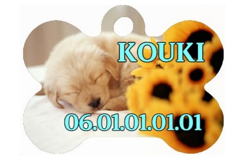 Medaille pour chien - medaille,