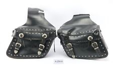 Eagle Spirit for Yamaha XVS 650 A Drag Star 4VR - Saddlebags A254A