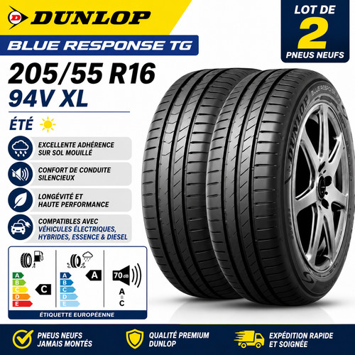 Lot pneus dunlop blue - pneus,