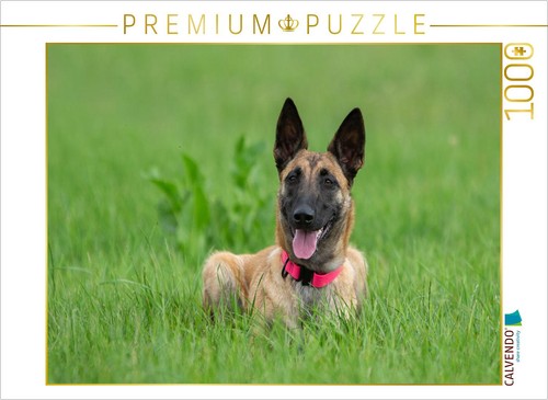 Calvendo puzzle ein motiv - motiv, aus