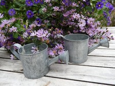 Collection d arrosoirs en zinc