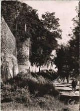 CPM JOIGNY La Guimbarde (1196505)