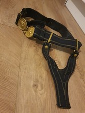 Ceinturon Et Porte Épée De