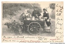 CE-BFP1-1081-BELGIQUE - BRUXELLES - Laitieres flamandes - Voiture a chien - Ve