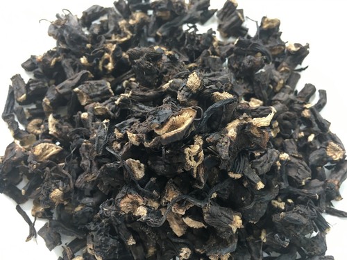 Organic comfrey root cuttings - root,