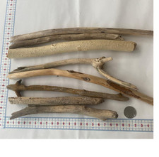 Bois flotté du Japon