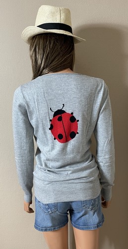 Pull gris avec coccinelle