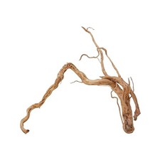 Aquarium Racine Déco