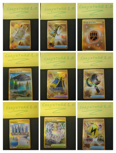 Lot cartes dresseur - 🇨🇵lot,