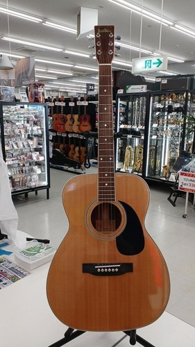 Guitare acoustique bluebell - guitare,