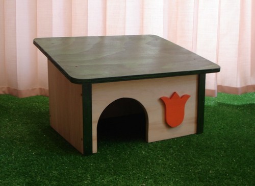 Maison pour tortue terrestre - maison,