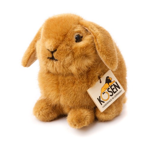 Lapin jeune nain - lapin,