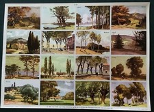 pedagogy board n°84 les arbres Arnaud publisher 1957 VGC
