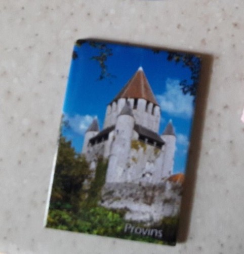 Magnet pour frigo provins - magnet, :