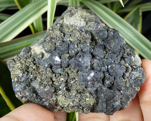 Pyrite dorée sphalérite - &,