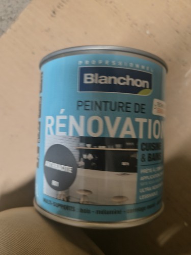 Peinture blanchon - ,