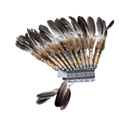 Coiffe plumes pour - coiffe,