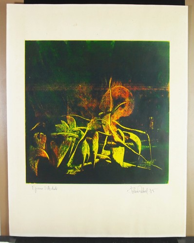Julien rabal lithographie - julien,