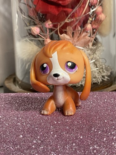 Petshop chien beagle - chien,