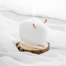 Humidificateurs D'air