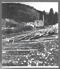 1983 -- SAWMILL IN SPARSBORD VALLEY. 4C120