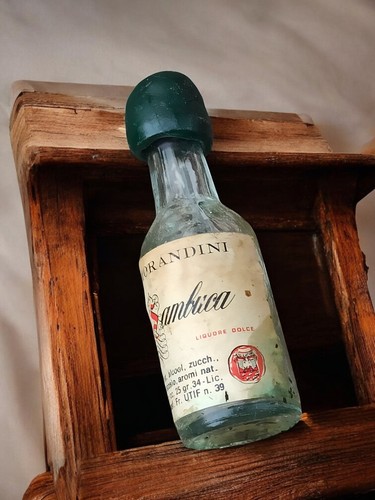 Miniature sambuca morandini - miniature,