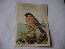 CHROMO PUBLICITAIRE LES