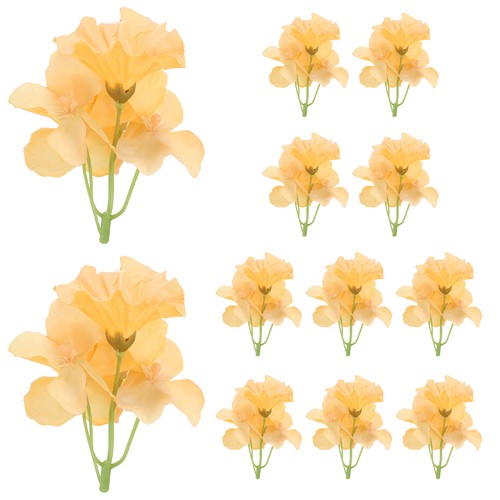 12pcs fleur orchidée - fleur, d'orchidée