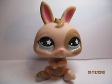 PETSHOP RABBIT DWARF N°827