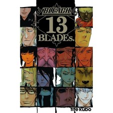 BLEACH DATA BOOK - 13TH