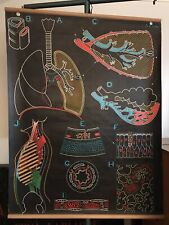 Vintage No Vidal Dr Auzoux School Poster Card - L’Appareil Respiratoryatoire