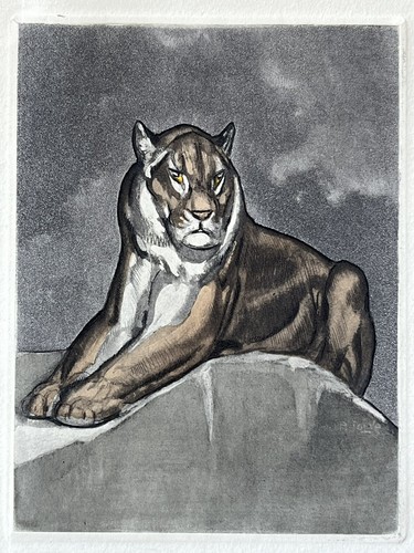 Paul jouve gravure - jouve,