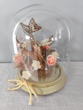 Diorama Papillon Et Fleurs