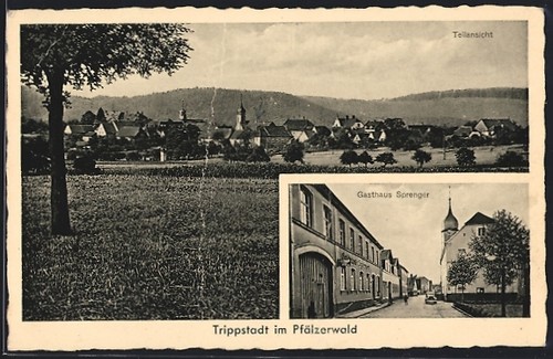 Trippstadt dans forêt du - dans,