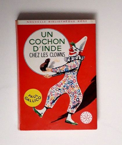 Cochon inde chez - un,