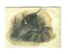 Chien de chasse levant un