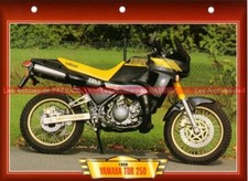 YAMAHA TDR 250 TDR250 1989