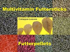 10 variétés bâtons