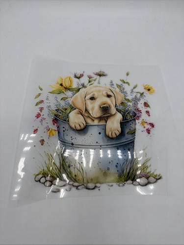 Autocollant chiot labrador - autocollant,