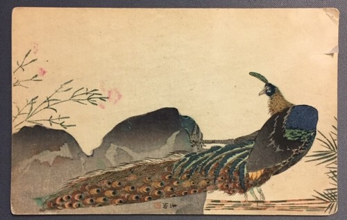 Cpa chine paon - paon, (146)