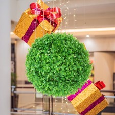  Boule Topiaire En Buis