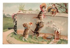 illustrateur  MAURICE