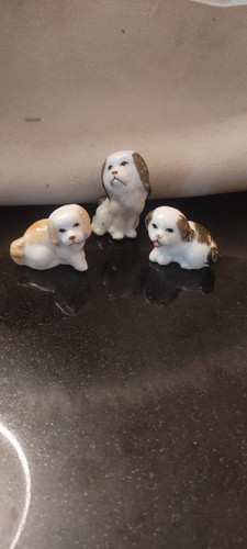 Trio chien épagneul - trio,