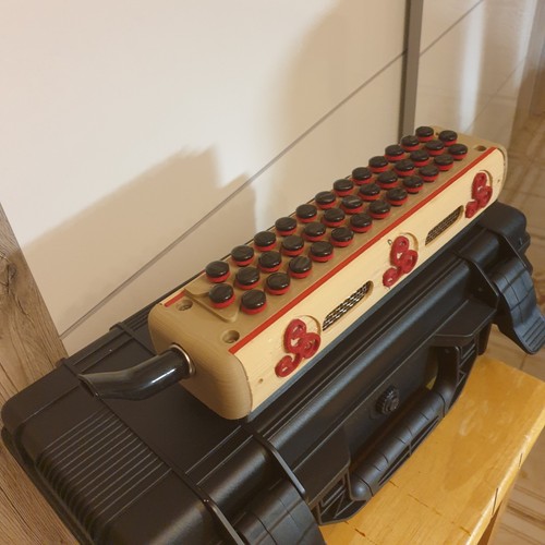Mouth accordion