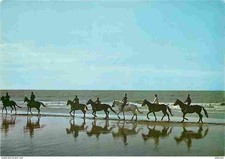 Carte Postale - Animaux -