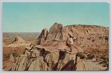 Vintage Theodore Roosevelt Nat'l Memorial Park Postcard ND Bentonite Clays